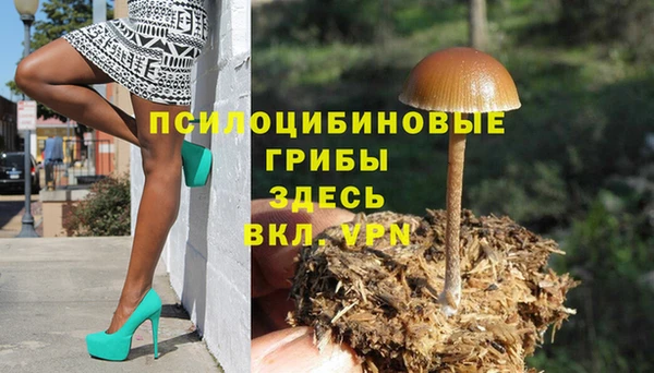 круглые Алексеевка