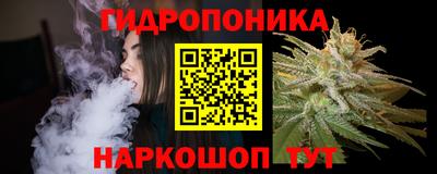 сатива Краснознаменск