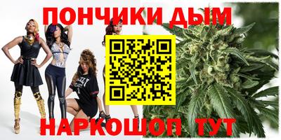 сатива Краснознаменск