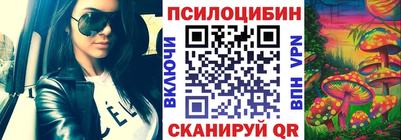 купить наркотик  Новозыбков  Галлюциногенные грибы мицелий 
