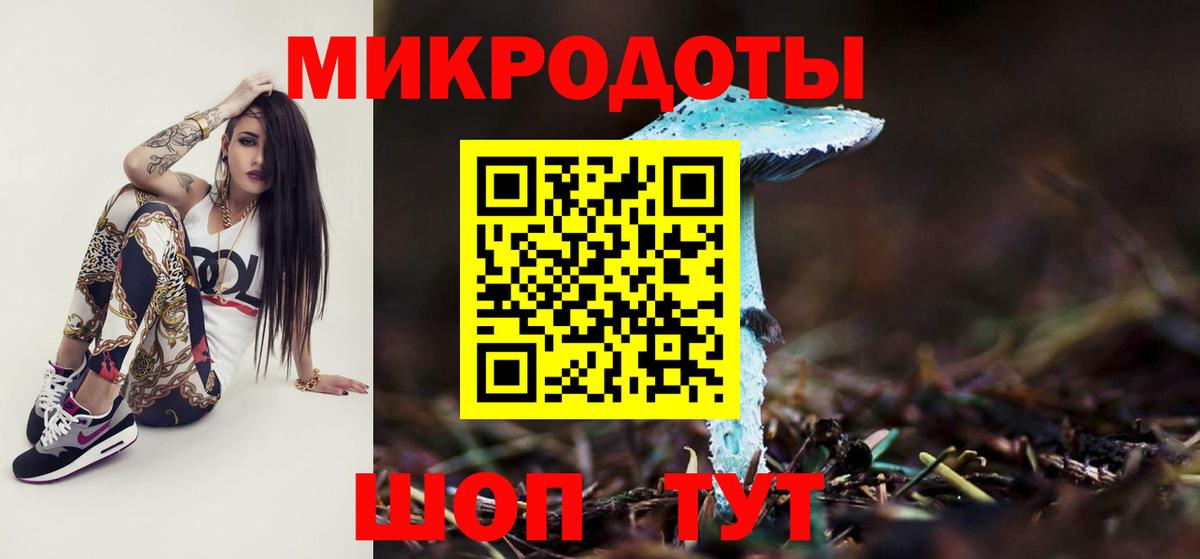 Галлюциногенные грибы Cubensis  Вход с VPN  Новозыбков  Галлюциногенные грибы Cubensis 