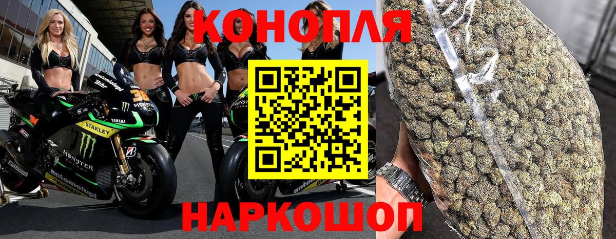 Бошки марихуана гибрид Новозыбков